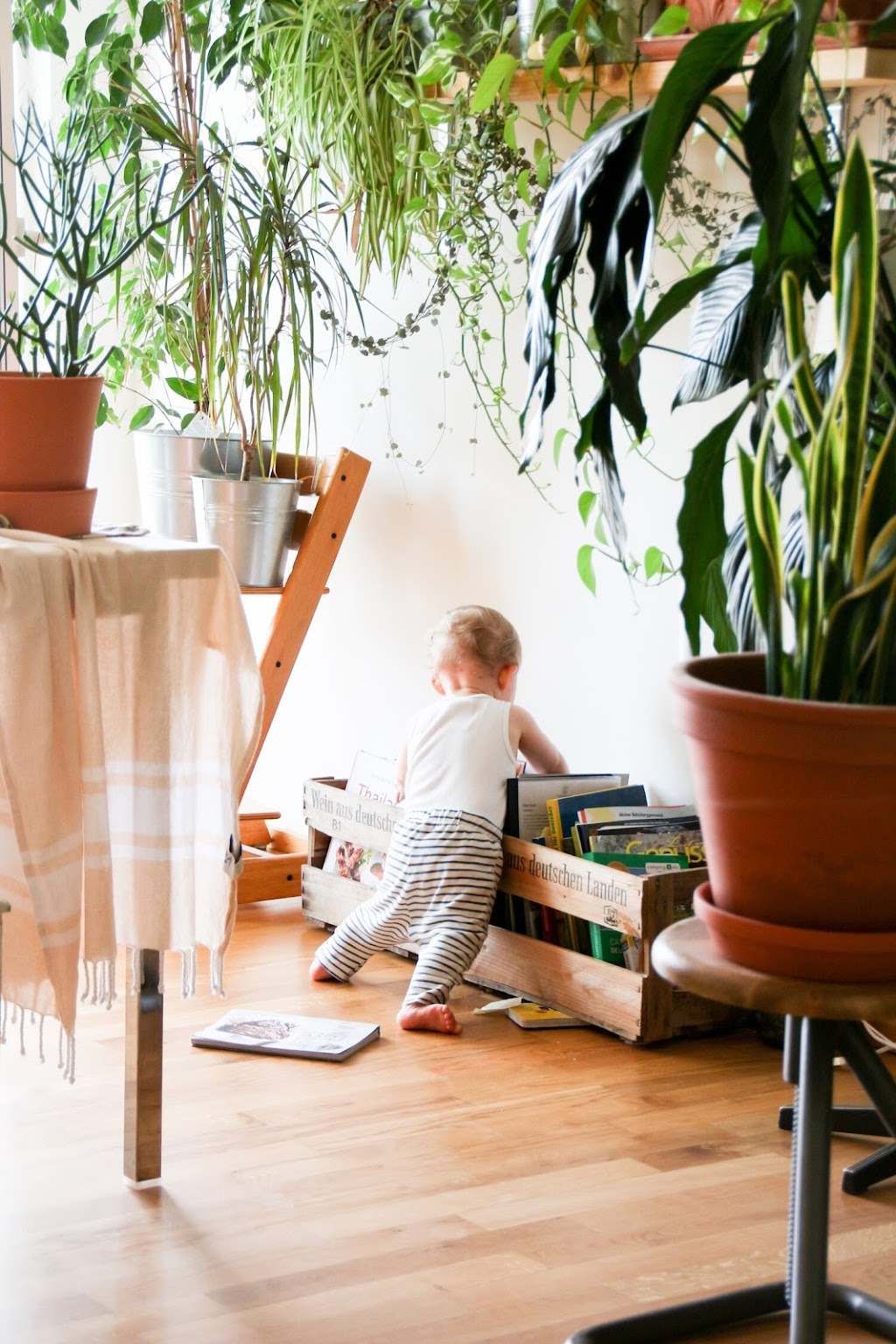 Little Mountain Paediatric Physiotherapy | Park, Maroondah Dam, Healesville VIC 3777, Australia | Phone: 0493 771 123