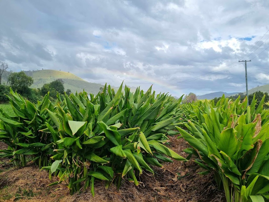Four Bees in a Pod | Gatton QLD 4343, Australia | Phone: 0481 385 055