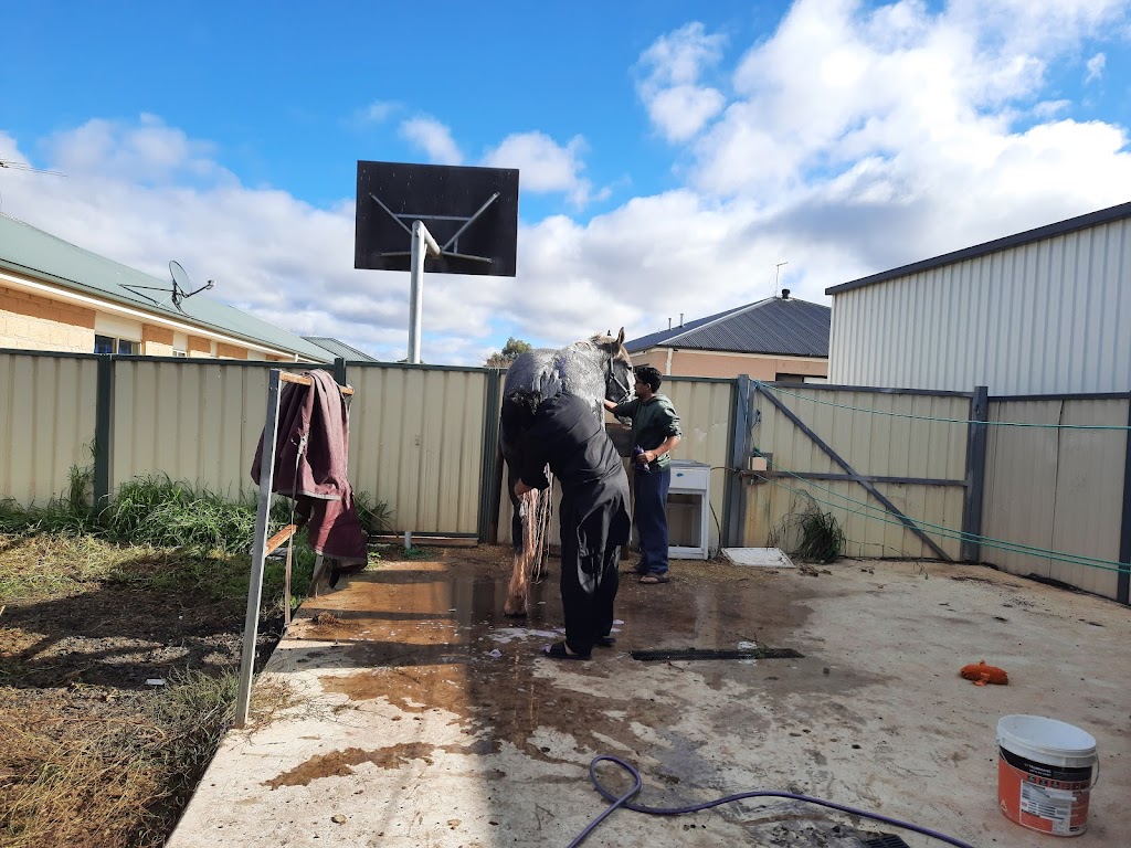 Murtajiz Badshah | Brooklyn Rd, Brookfield VIC 3338, Australia | Phone: 0415 394 920