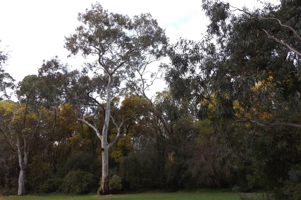 hawthorndene reserve | Watahuna Ave, Hawthorndene SA 5051, Australia