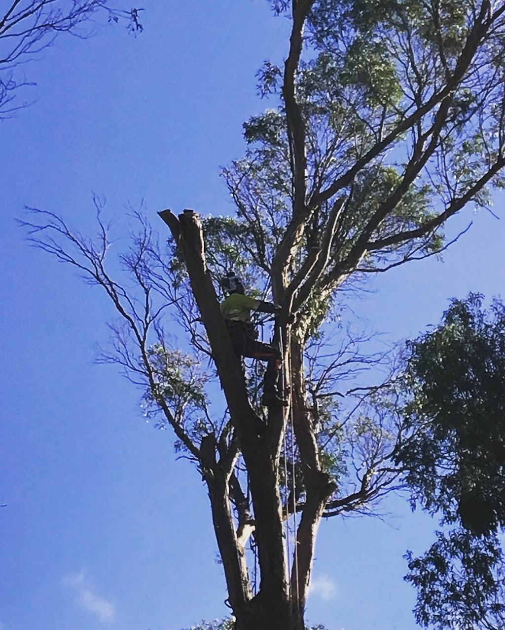 KMS Tree Services |  | Cotton St, Latrobe TAS 7307, Australia | 0408642728 OR +61 408 642 728