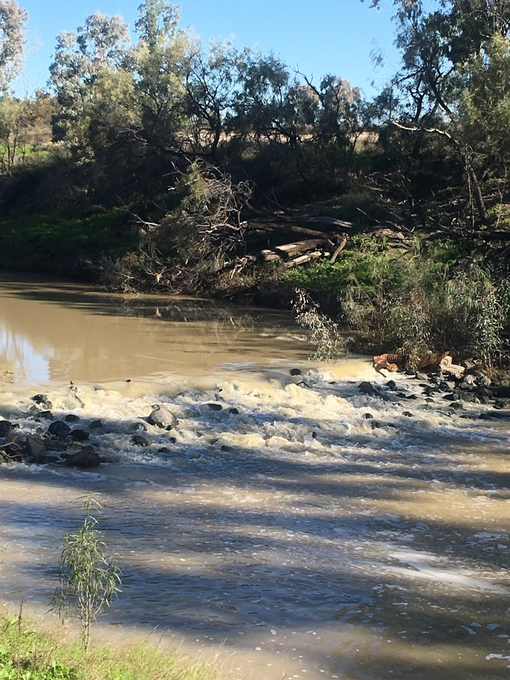 Walgett Sporting Club | Fox St & Monkella Street, Walgett NSW 2832, Australia | Phone: (02) 6828 1271