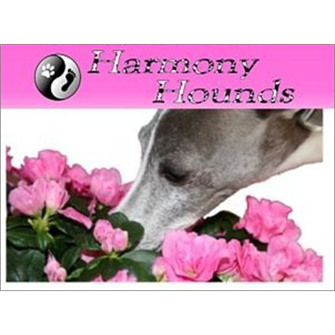 Harmony Hounds | Ridge Rd, Berwick VIC 3806, Australia | Phone: 0413 541 613