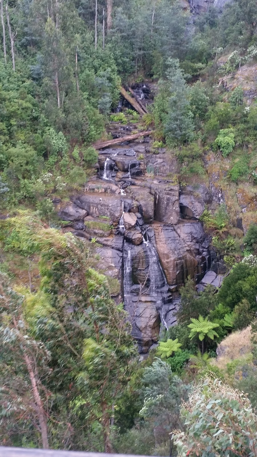Wombelano Falls Carpark | Captains Creek Rd, Kinglake Central VIC 3757, Australia | Phone: 13 19 63
