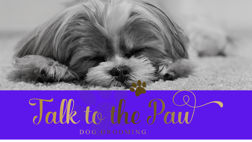 Talk to the Paw - Dog Grooming | 31 Gordon St, Gordonvale QLD 4865, Australia | Phone: 0457 133 066