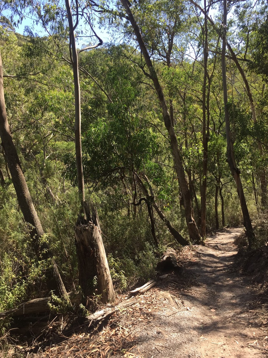 Spring Creek Falls Walk | park | Buchan VIC 3885, Australia