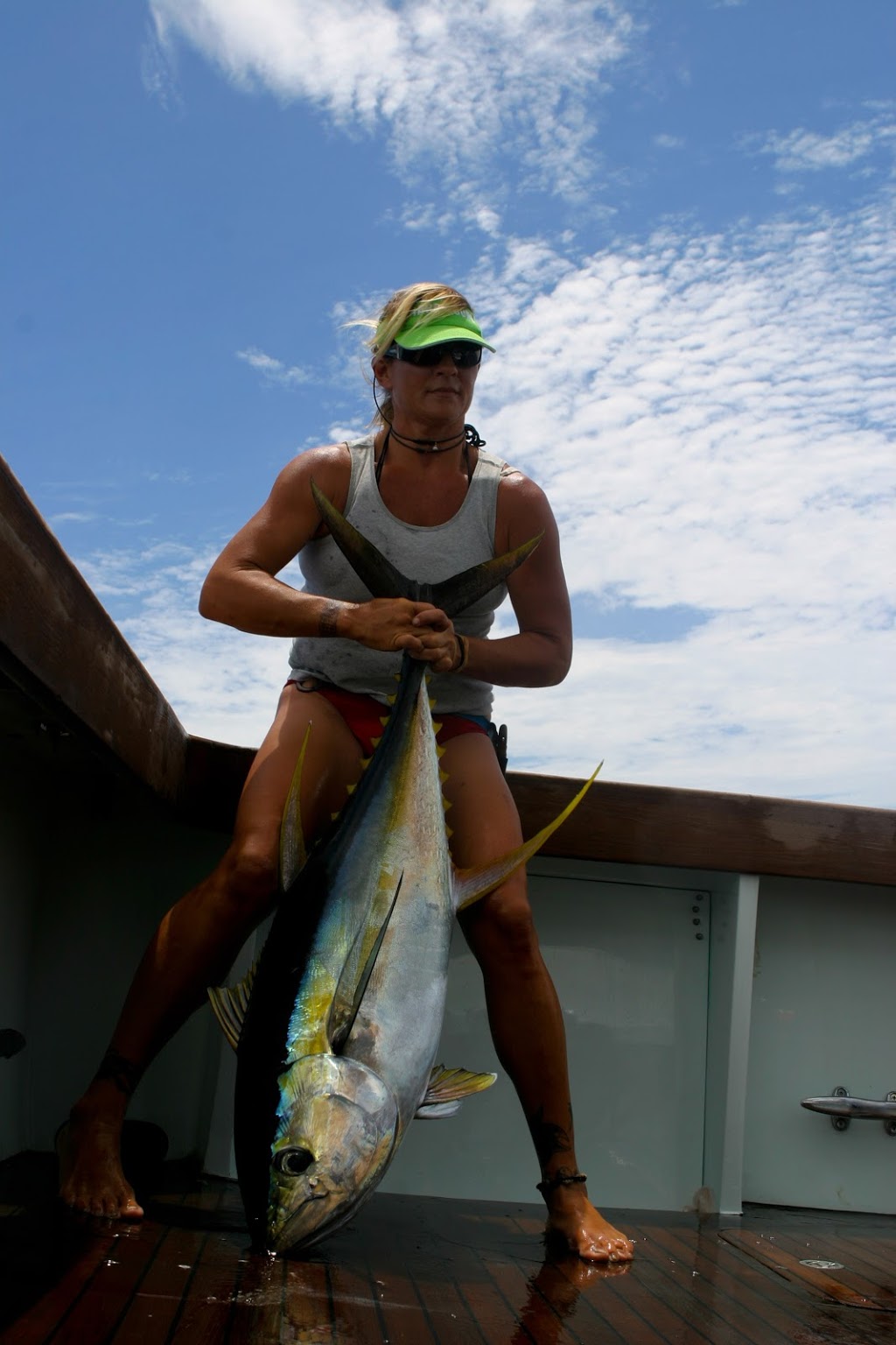 Hotshot Marlin Fishing Charters |  | 1/5 Huon Cres, Runaway Bay QLD 4216, Australia | 0438221443 OR +61 438 221 443