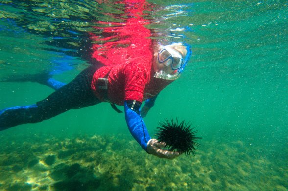 Saltwater School | Lands Edge Foundation | 11A Chowder Bay Rd, Mosman NSW 2088, Australia | Phone: 0490 174 071