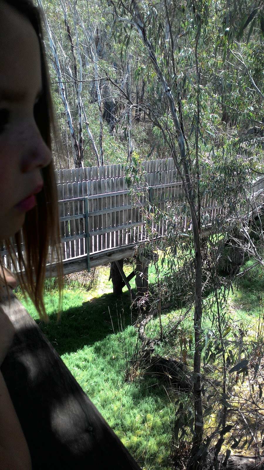 Reed Beds Bird Hide, Murray Valley National Park | Mathoura NSW 2710, Australia