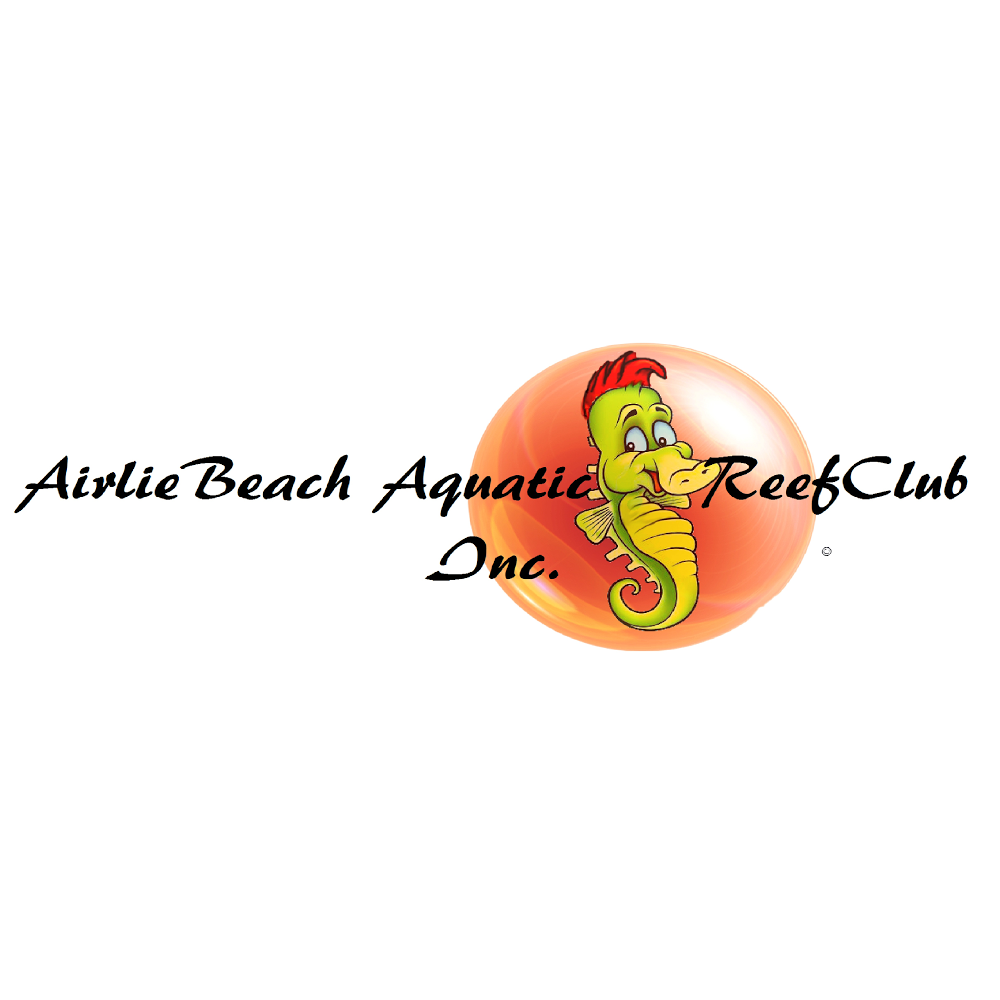 Reef Life Saving Inc. | 2583 Shute Harbour Rd, Jubilee Pocket QLD 4802, Australia | Phone: 0404 677 400