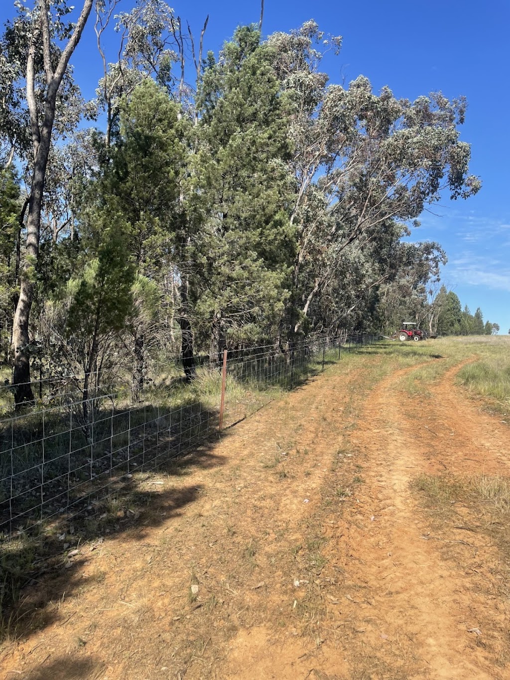 C&B Rural Fencing | 305 Back Trundle Rd, Parkes NSW 2870, Australia | Phone: 0429 622 179