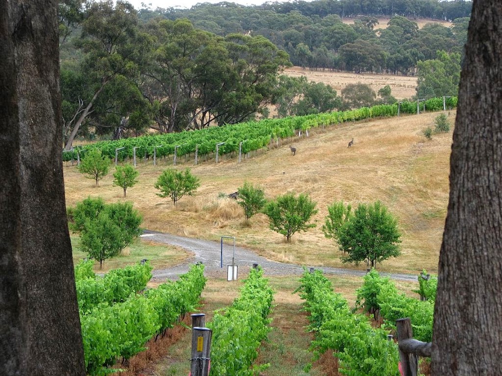 Guildford Vineyard & Cellar | food | 6720 Midland Hwy, Guildford VIC 3451, Australia | 0354764457 OR +61 3 5476 4457