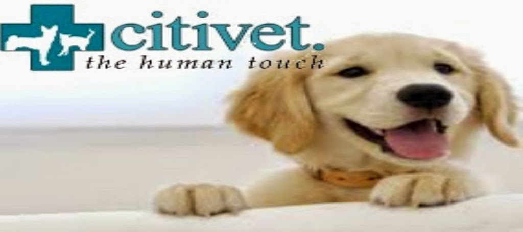 Citivet - Centennial Park | veterinary care | 118 Oxford St, Woollahra NSW 2025, Australia | 0293262666 OR +61 2 9326 2666