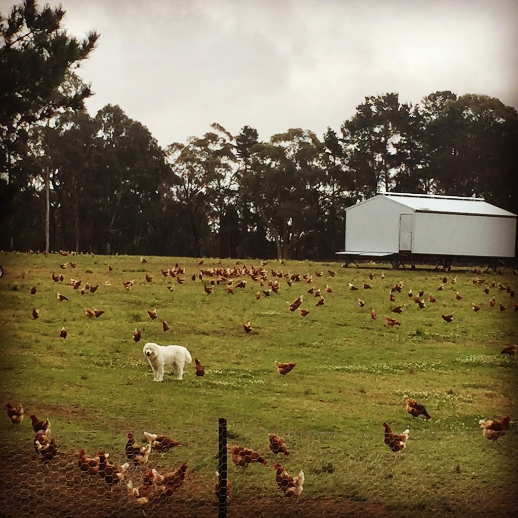 The Ethical Farmers | 972 Wisemans Ferry Rd, Somersby NSW 2250, Australia | Phone: (02) 4372 2021