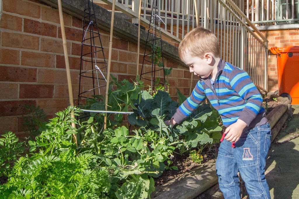 The Learning Haven | 2 Robert Holl Dr, Ourimbah NSW 2258, Australia | Phone: (02) 4362 2441