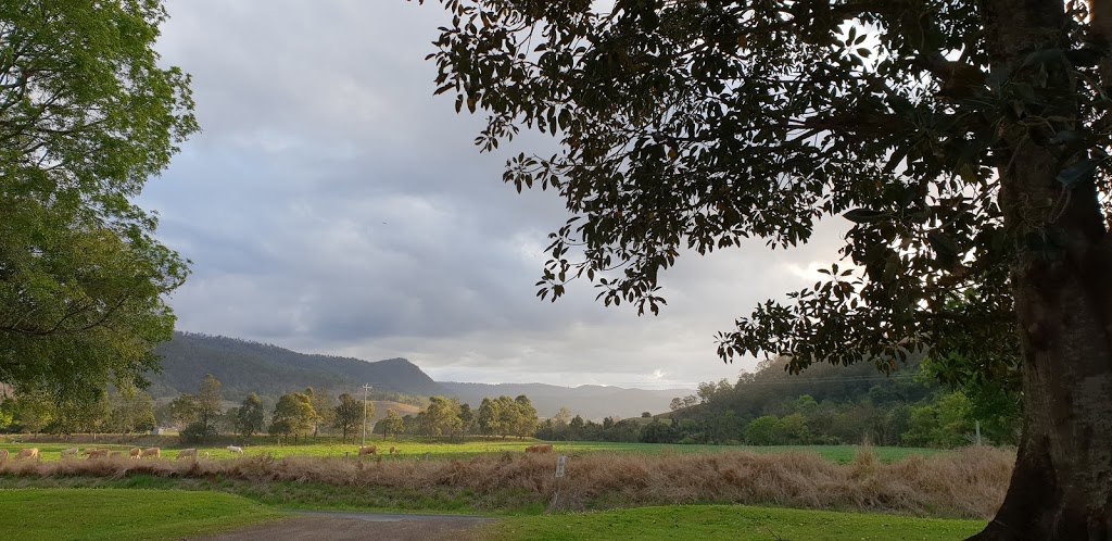 Moore Park Nature Reserve | Old Grevillia NSW 2474, Australia