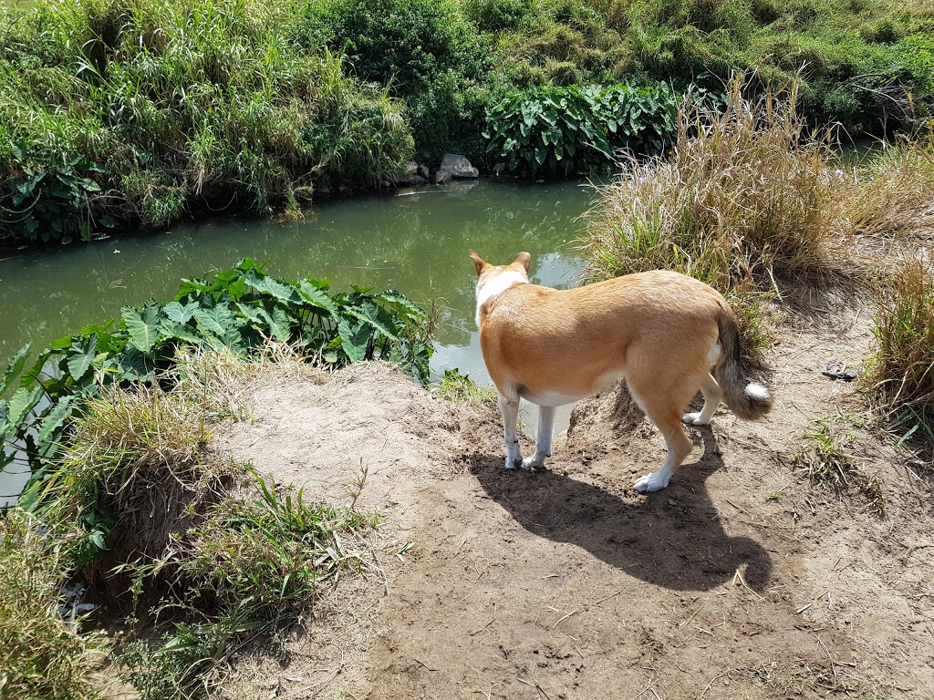 Kedron Brook Dog Walk | park | Wavell Heights QLD 4012, Australia