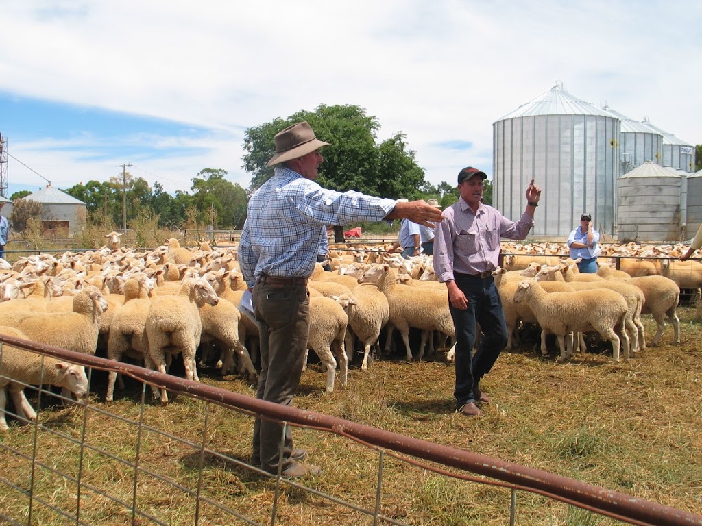 JLB Livestock & Property | 38 Bencubbin Ave, Coleambally NSW 2707, Australia | Phone: 0427 544 522