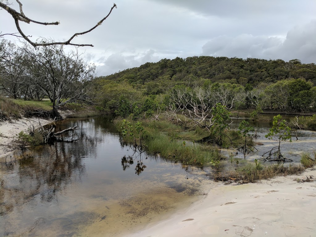 Awinya Creek camping area, K`gari (Fraser Island) Recreation Are | Woralie Rd, Fraser Island QLD 4581, Australia