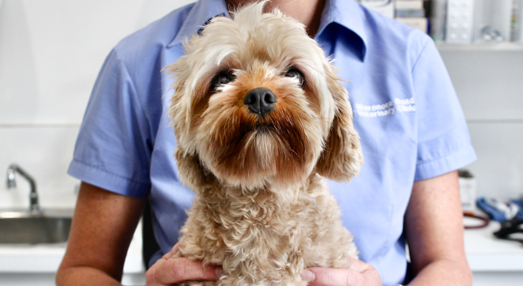 Woronora Road Veterinary Clinic - Dr. Mark Westwood | 153 Woronora Rd, Engadine NSW 2233, Australia | Phone: (02) 9548 1686