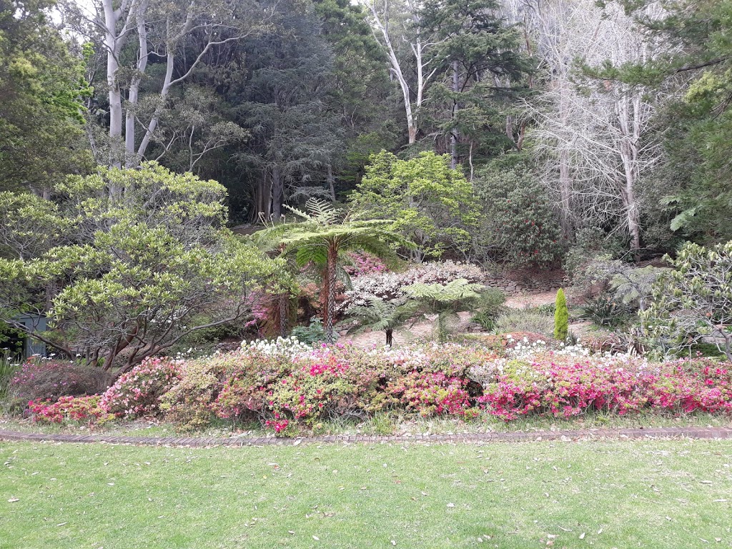 Illlawarra Rhododendron Gardens | park | Parrish Ave, Mount Keira NSW 2500, Australia | 0490069360 OR +61 490 069 360