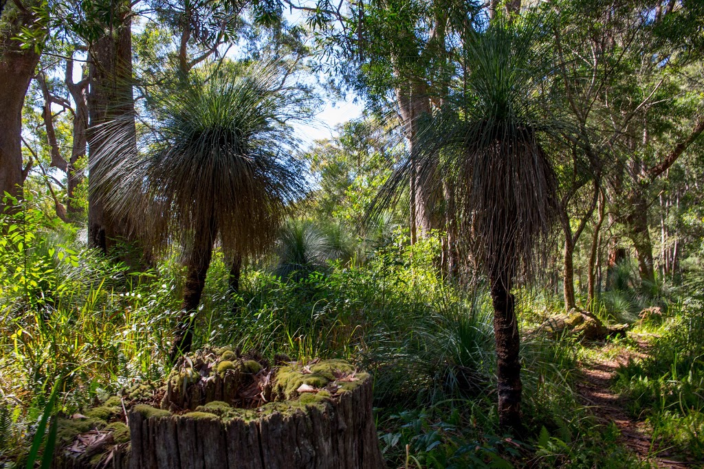 Manna Gum | campground | 268 Forestry Reserve Rd, Goomburra QLD 4362, Australia | 137468 OR +61 137468