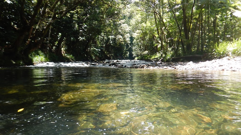 Noah Creek | lodging | Cape Tribulation Rd, Noah QLD 4873, Australia | 0740989297 OR +61 7 4098 9297