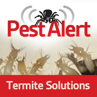 Pest Alert - Pest Control Dubbo | home goods store | Unit 1/3 Capital Dr, Dubbo NSW 2830, Australia | 0268847557 OR +61 2 6884 7557