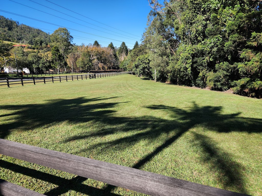 Saunders Affordable Lawn Services | 49 Helensvale Rd, Helensvale QLD 4212, Australia | Phone: 0401 257 118