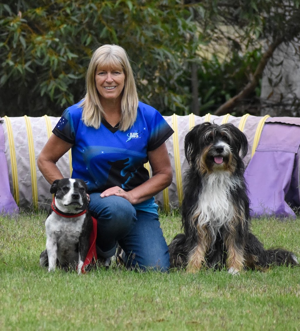 Synergy Canine Wellness and Training | 95 Bengworden Rd, Bairnsdale VIC 3875, Australia | Phone: 0407 526 993