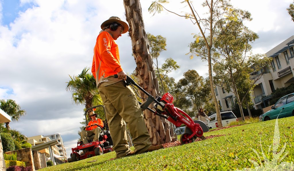 Skyline Landscape Services | 43 Notar Dr, Ormeau QLD 4208, Australia | Phone: 1300 669 949