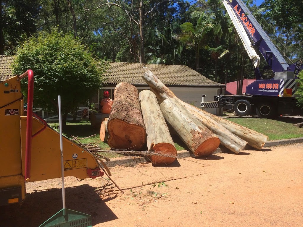 Ultimate Tree Care | 74 Bottlebrush Dr, Glenning Valley NSW 2261, Australia | Phone: 1800 883 572