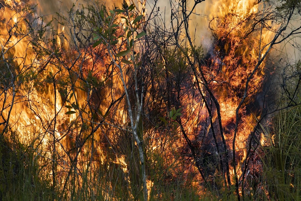 Rural Fire Closeburn Brigade | 24 Andrew Rd, Closeburn QLD 4520, Australia | Phone: 0403 986 801