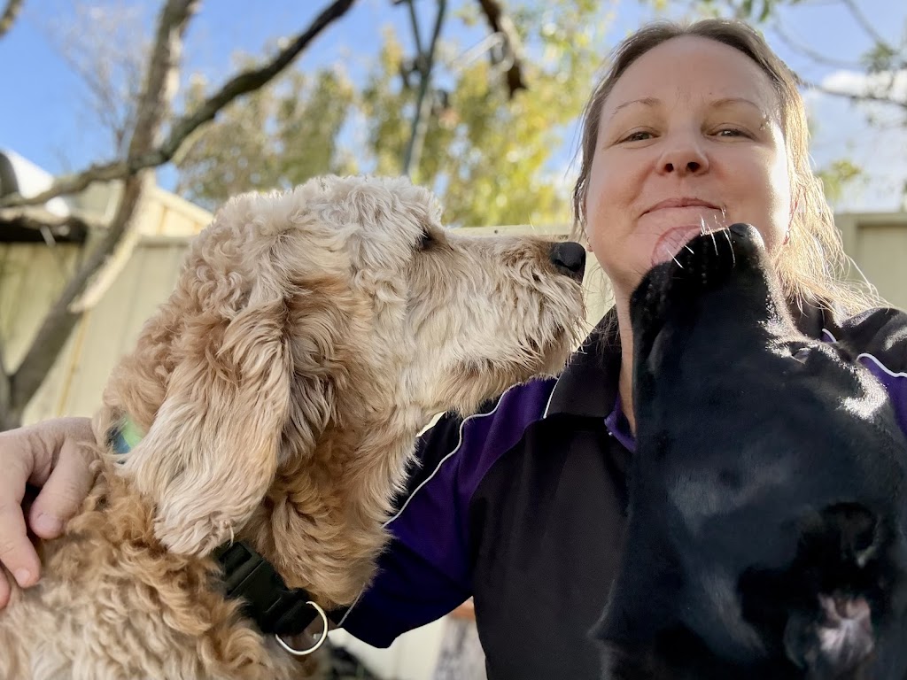 Pack Leader Dog Services | 15 Charlotte St, Holmesville NSW 2286, Australia | Phone: 0415 421 805
