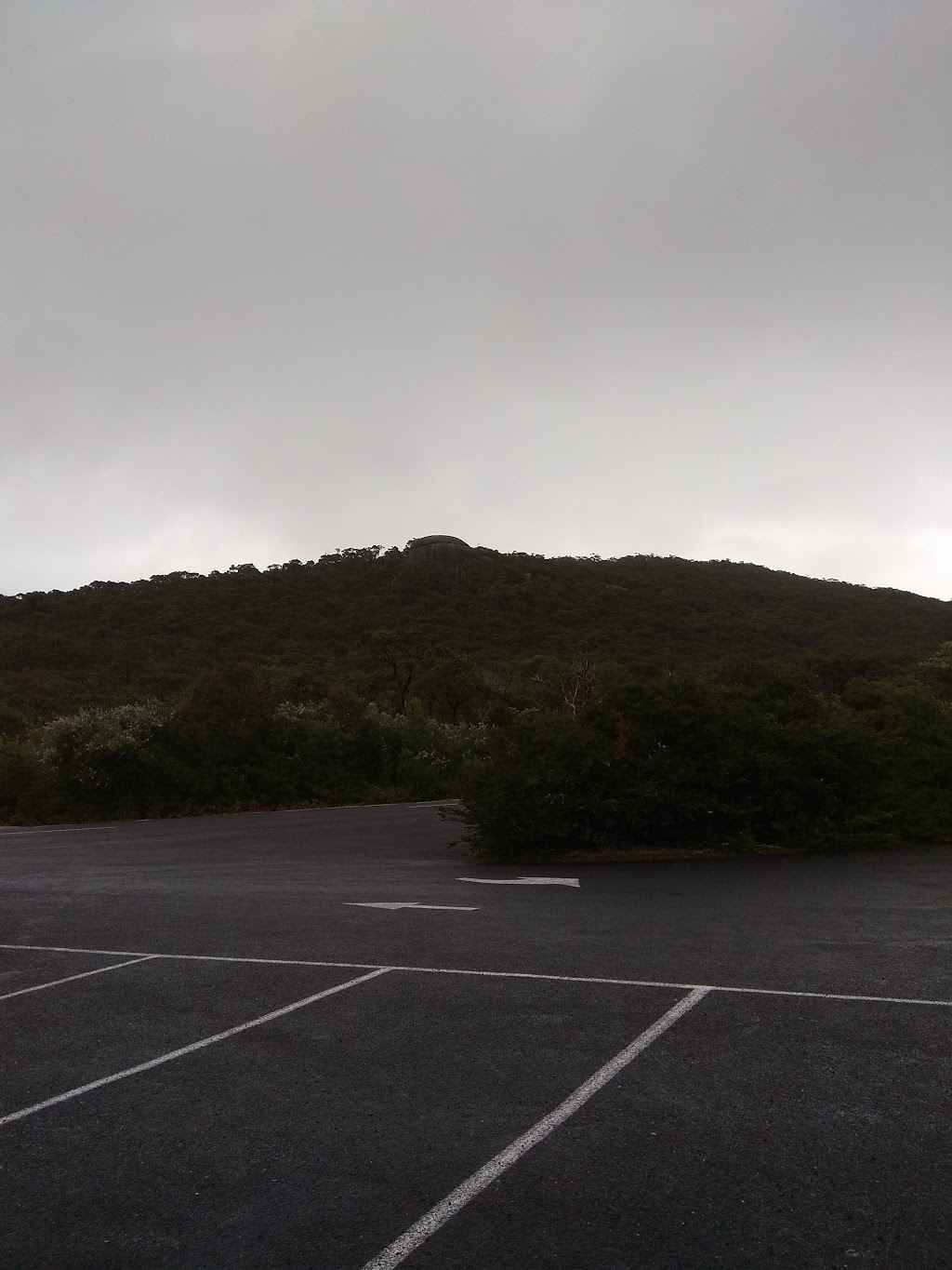 Lilly Pilly Gully Car Park | parking | Wilsons Promontory Rd, Wilsons Promontory VIC 3960, Australia | 131963 OR +61 131963