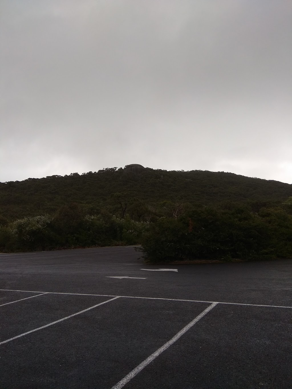 Lilly Pilly Gully Car Park | Wilsons Promontory Rd, Wilsons Promontory VIC 3960, Australia | Phone: 13 19 63