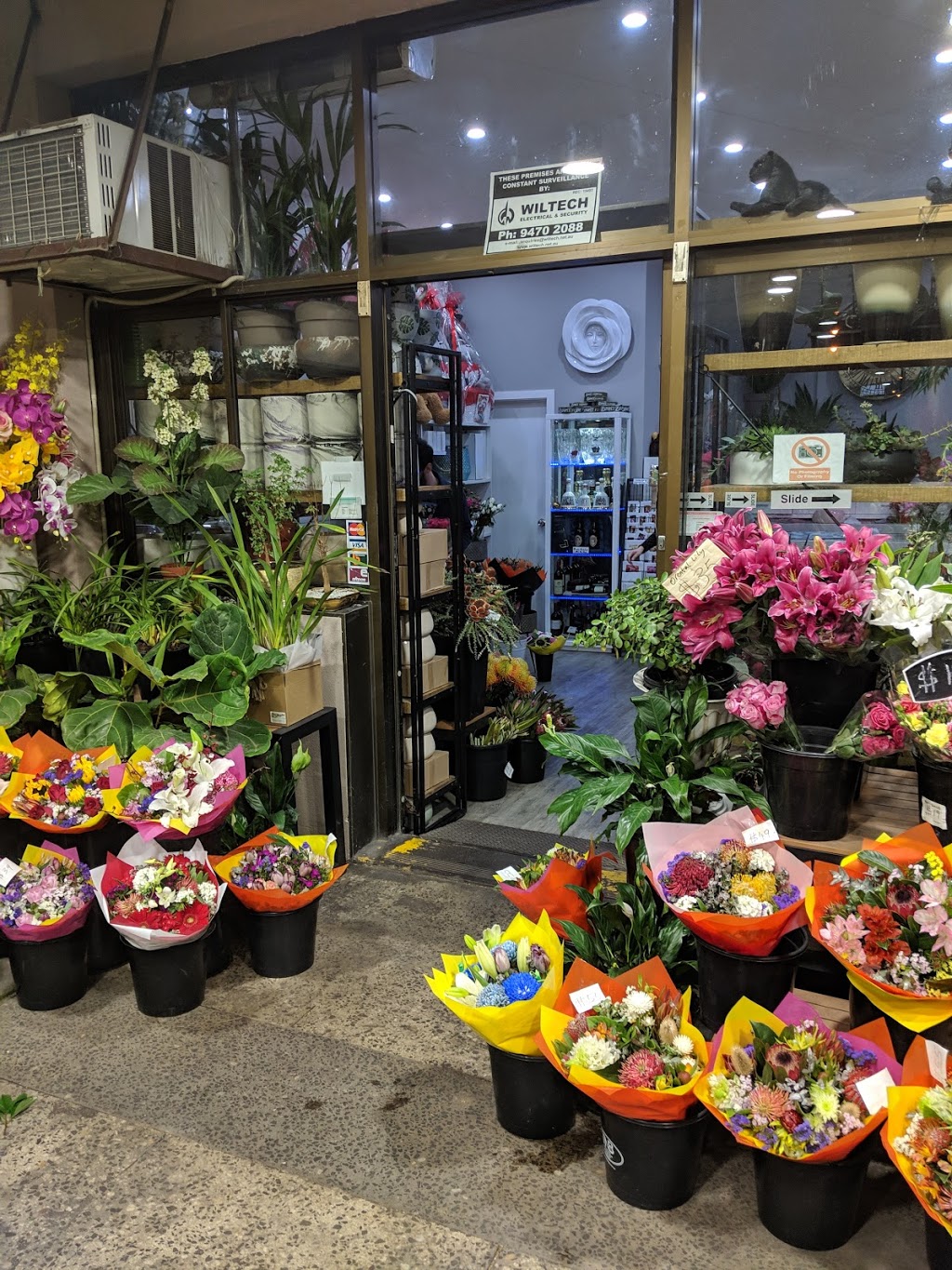 Zeneli Flowers | florist | 1020 Lygon St, Carlton North VIC 3054, Australia | 0393882630 OR +61 3 9388 2630