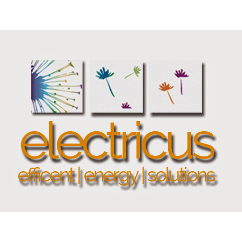 Electricus ❤️ | 49 Blackbutt Ave, Lugarno NSW 2210, Australia | Phone: (02) 9596 1123