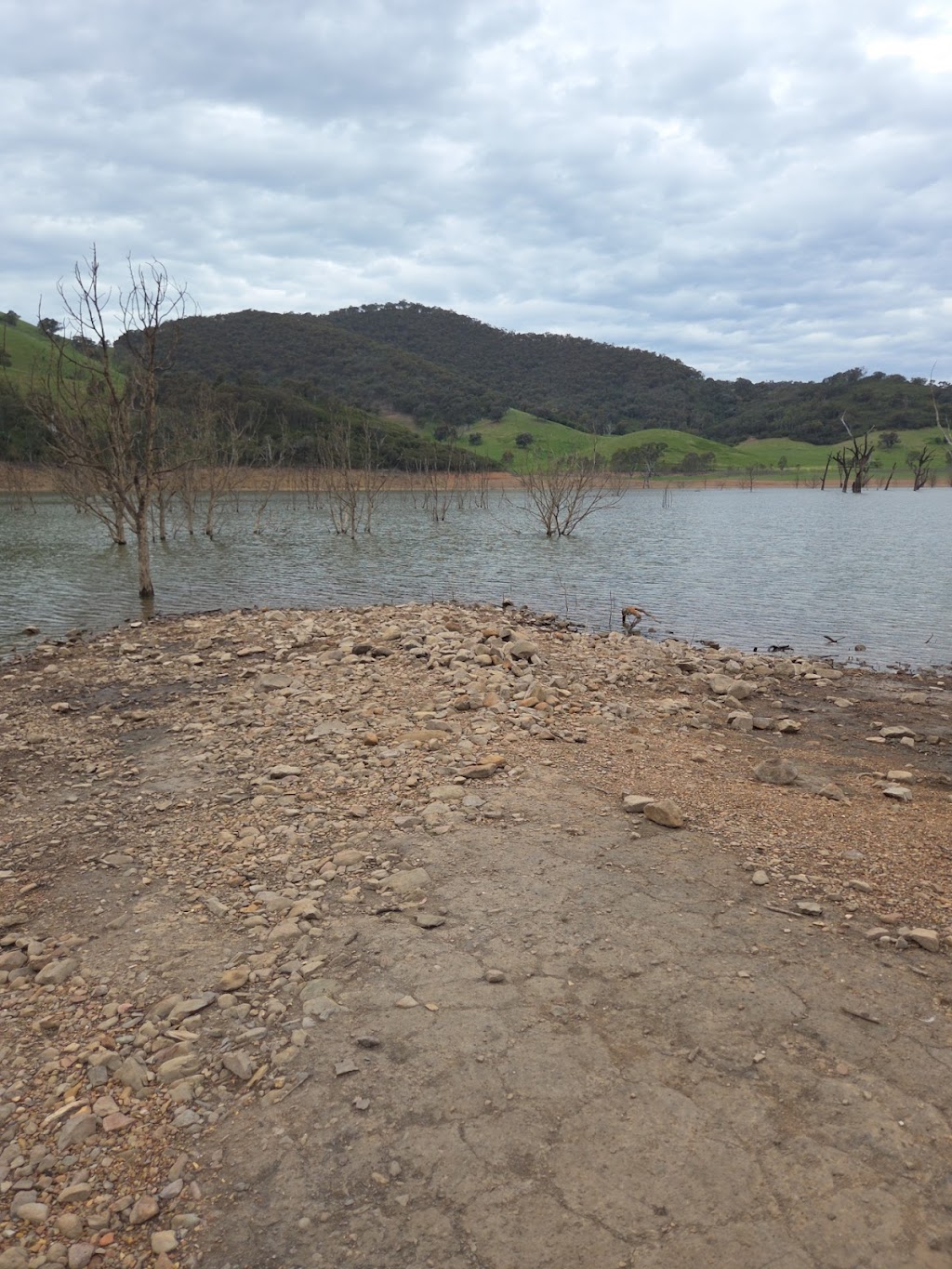 Roćknia | Lake Eildon VIC 3713, Australia | Phone: 0493 774 181