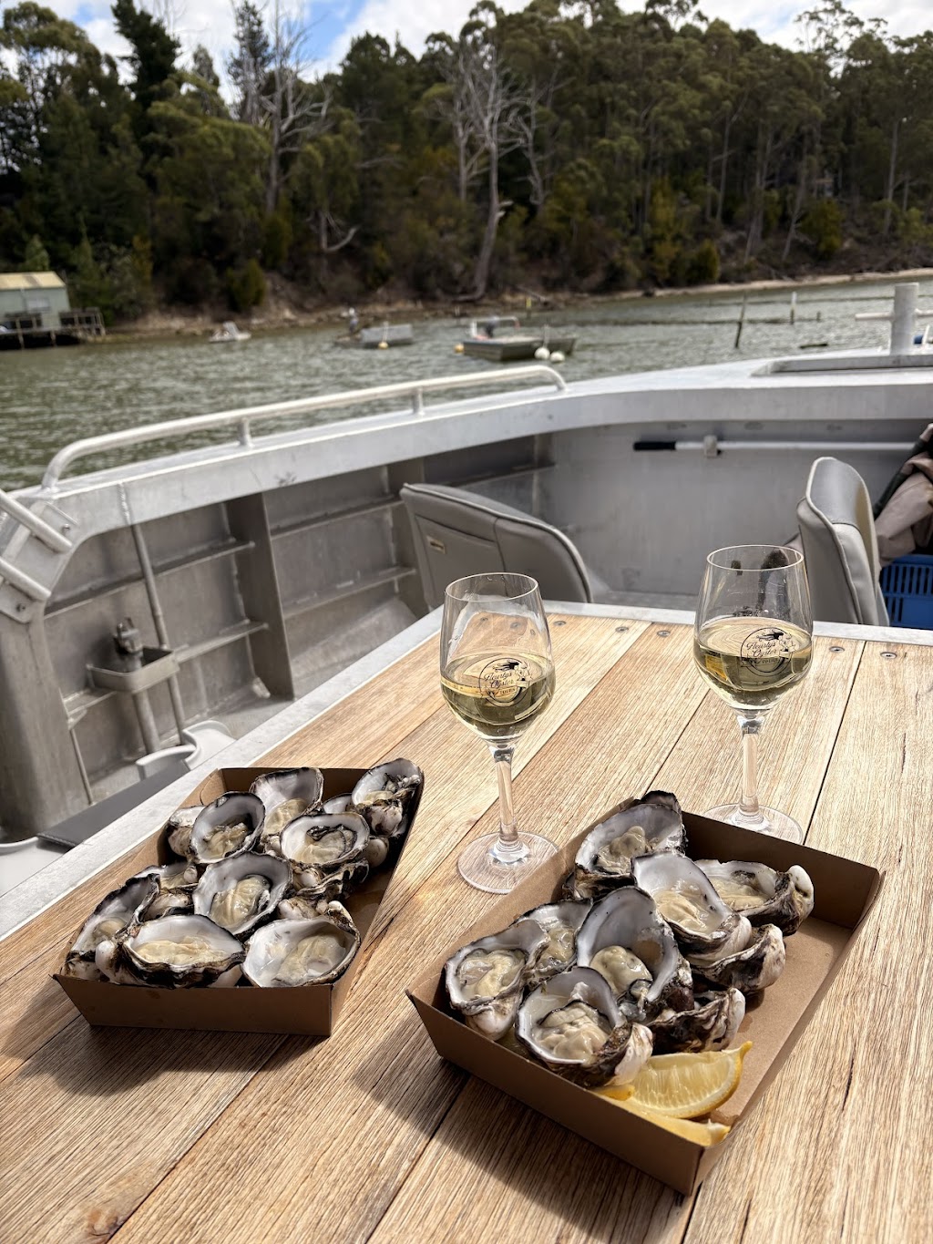 Fleurtys Oyster Farm Tours | 110 Benbows Rd, Oyster Cove TAS 7150, Australia | Phone: 0419 744 975