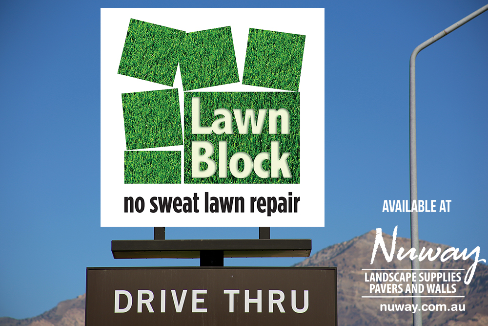 Lawn Block Turf |  | 661 Mundoolun Connection Rd, Boyland QLD 4275, Australia | 0755417077 OR +61 7 5541 7077