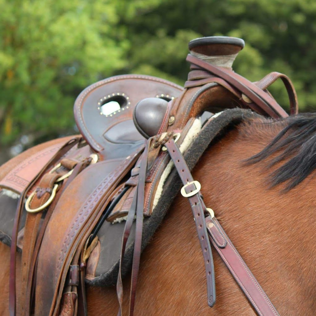Anthony OBrien Custom Saddles | store | 145 Lorimers Ln, Dixons Creek VIC 3775, Australia | 0488990295 OR +61 488 990 295