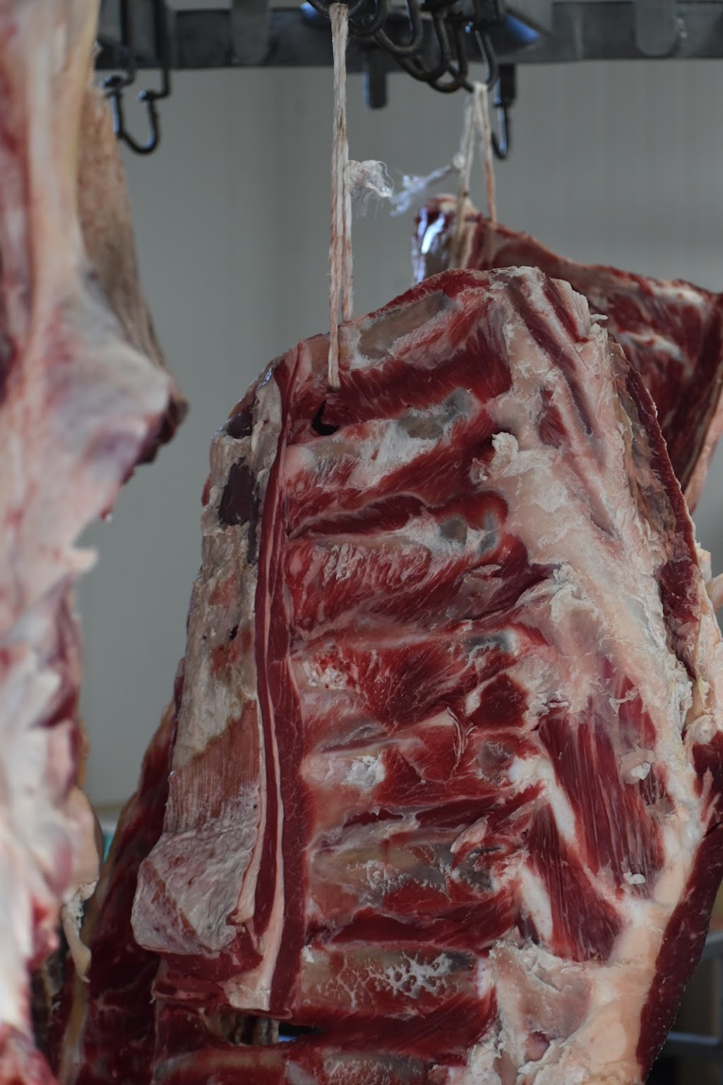 Benbullen Speckle Park Meats | Maffco La, Maffra VIC 3860, Australia | Phone: 0473 469 186