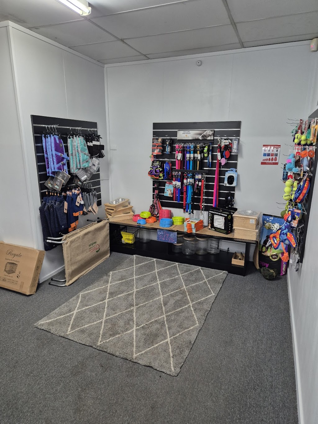 Fins and Fur | 52 Marshall St, Goondiwindi QLD 4390, Australia | Phone: 0448 507 158