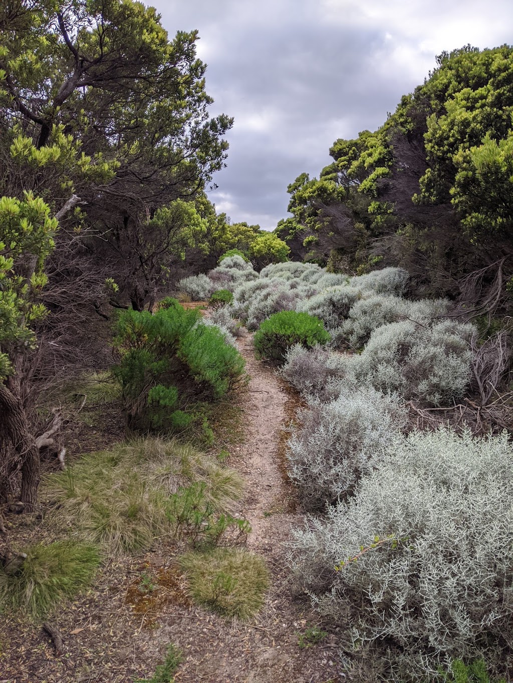 Taraki Lodge King Island | lodging | 1419 North Rd, Loorana TAS 7256, Australia | 0457433272 OR +61 457 433 272