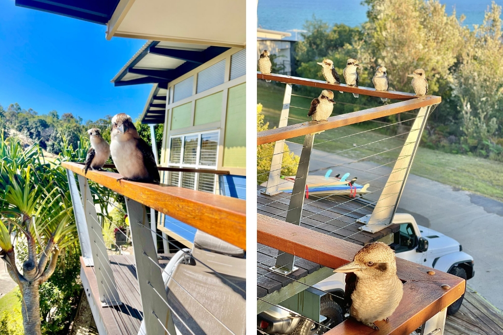 Shorebird On Moreton | 4 Trochus Pl, Moreton Island QLD 4025, Australia | Phone: 0400 233 237