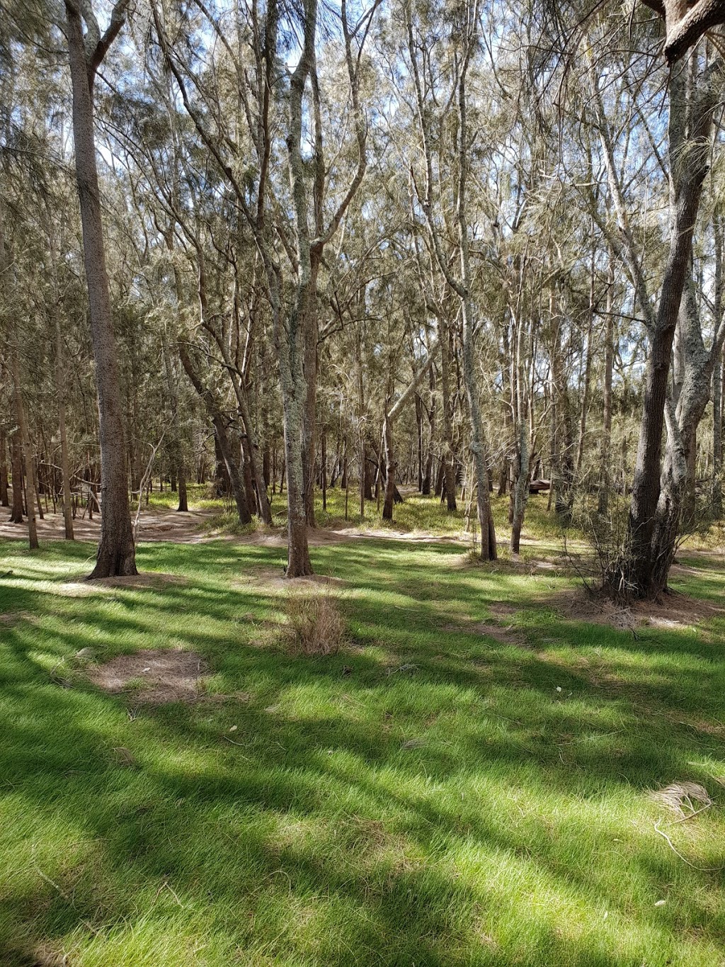 Corramy Regional Park | Basin View NSW 2540, Australia | Phone: (02) 4423 2170