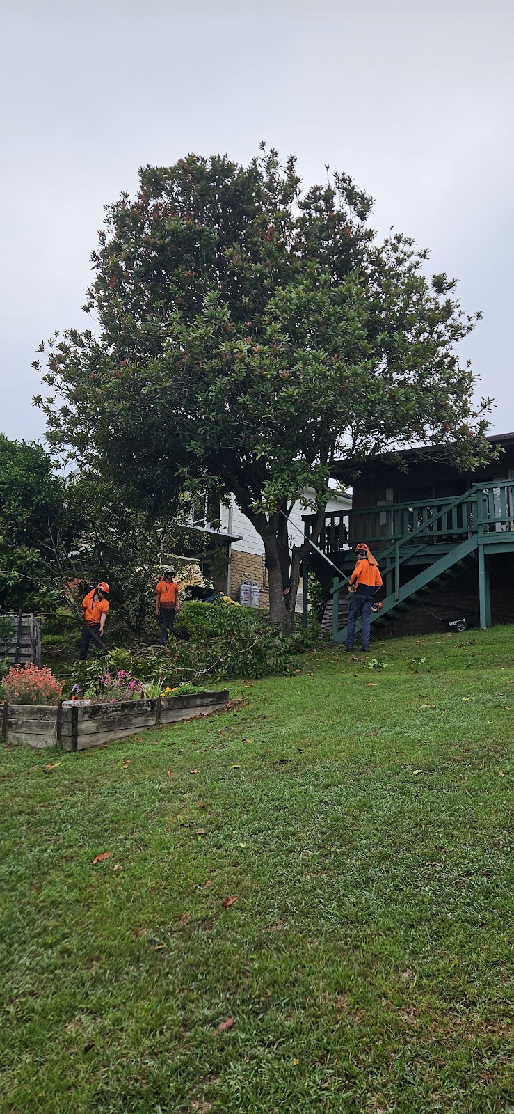 Outlook Tree Solutions | 125 Larrys Mountain Rd, Moruya NSW 2537, Australia | Phone: 0428 118 425