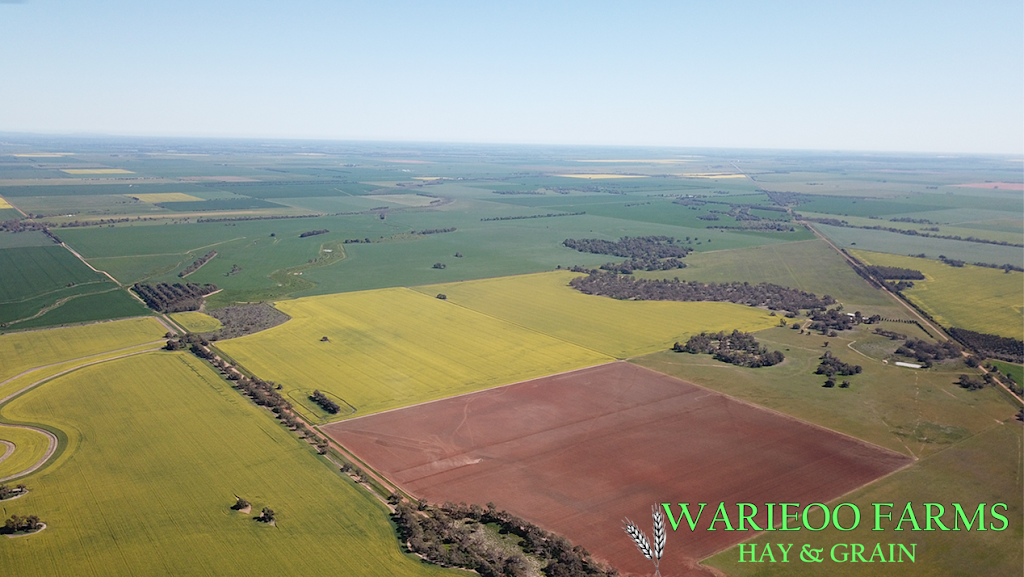 Warieoo Farms |  | 4026 Prairie-Rochester Rd, Prairie VIC 3572, Australia | 0409093616 OR +61 409 093 616