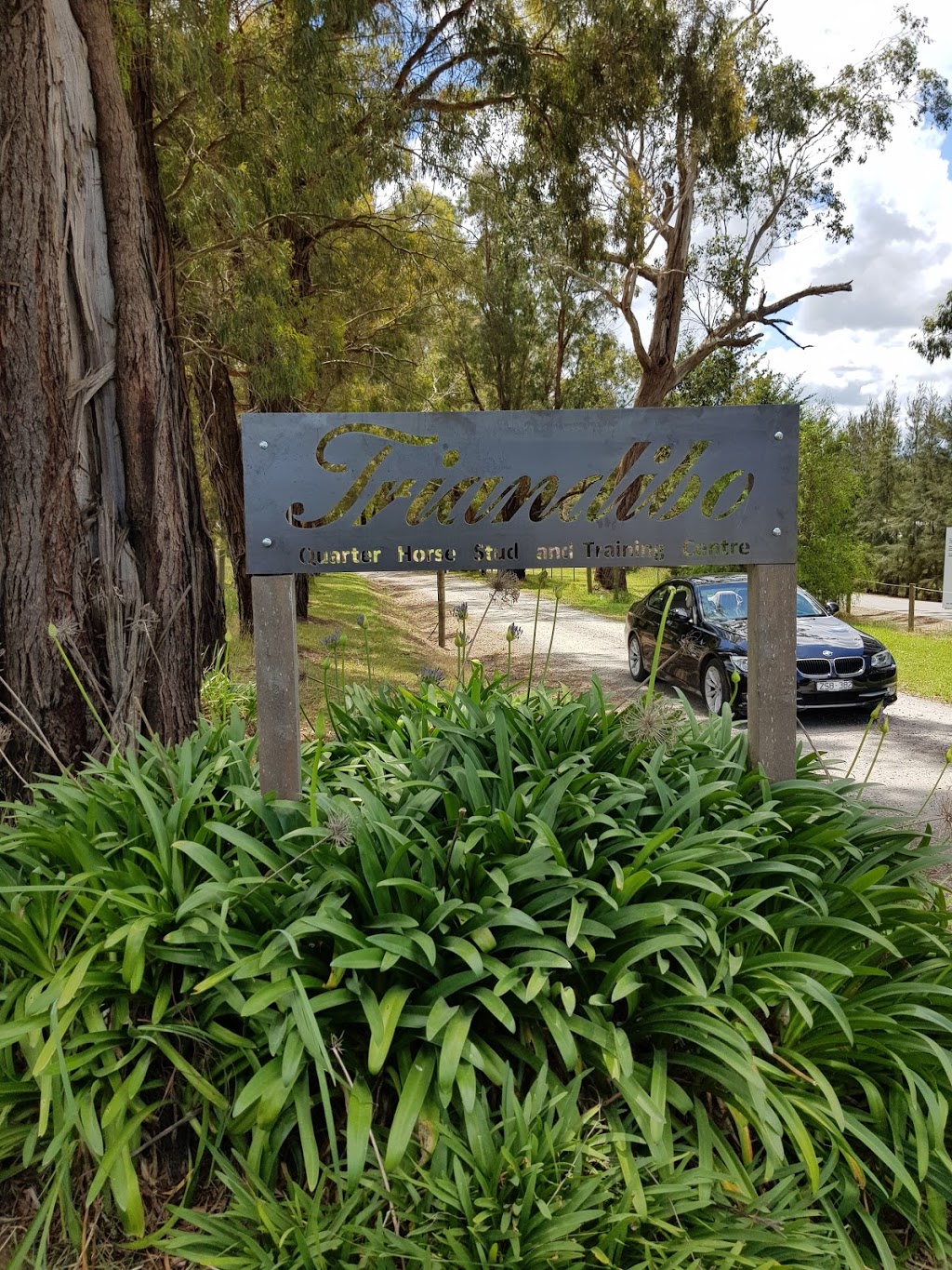 Woodhaven Park Bed & Breakfast | lodging | 295 Douthie Rd, Seville East VIC 3139, Australia | 0418567180 OR +61 418 567 180